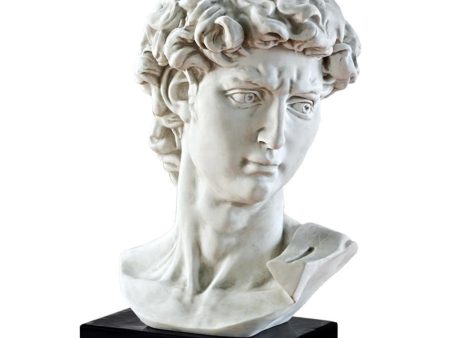 David Renaissance Masterpiece Sculptural Bust by Artist Michelangelo Hot on Sale