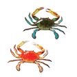 Tropical Crabs Wall Sculptures: Set of Two Supply