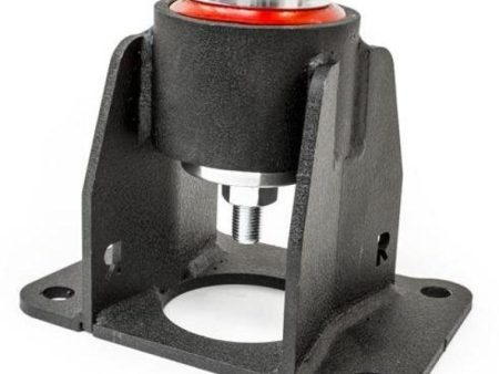 Innovative 98-02 Honda Accord V6  99-03 Acura TL  01-03 Acura CL Replacement Rear Single Mount (A T) Online now